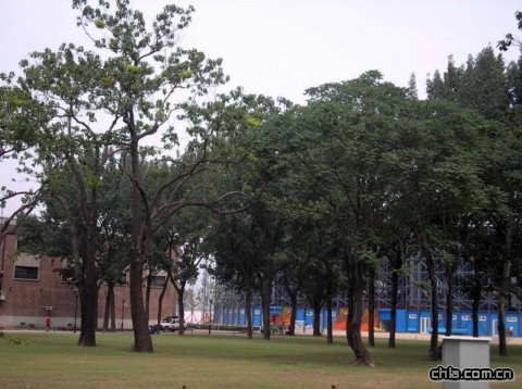 ��ꖹ��@�W�\ɳ��������G�����^����