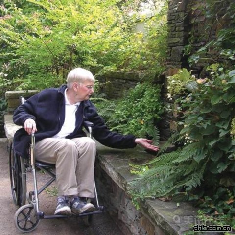 ���������ݿ������m��ֲ��@