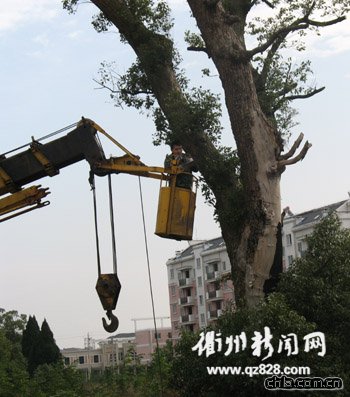 �㽭������18�ùŘ�l�� �@�ֲ��T�o����Ԯ