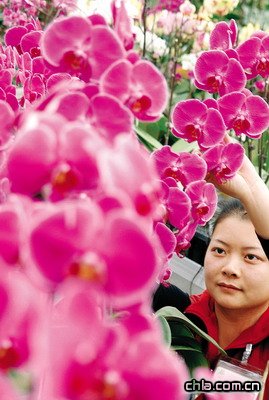 �V�|혵£������m�����ܡ��lΣ�C�����_(�D)