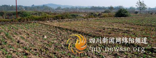 �Ĵ������¿h���_�����O(�M�D)