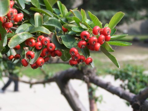 �Ϸ��Эh(hu��n)�ǹ��@��