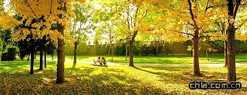 ���^�������{���B�����D׃