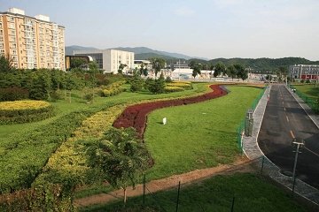 ���������M����ľG���OӋ