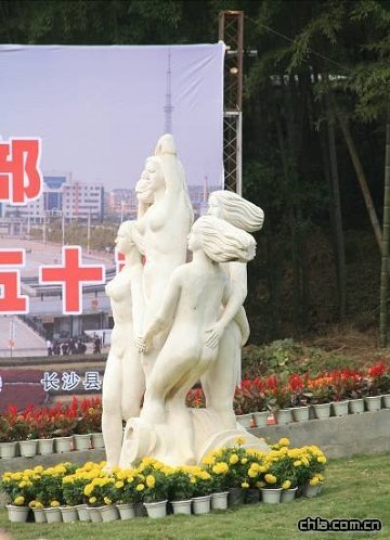 ���������M����ľG���OӋ