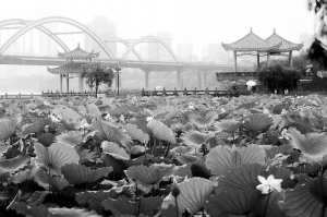 ���ڹ��@���������еľ��²�D