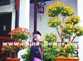 �K�݈@�־ջ��u��չ���_�Ļ