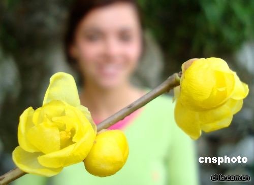 �K�ݪ{�����D÷����ǰ�`��