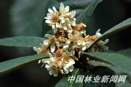 �����Ĺ�������