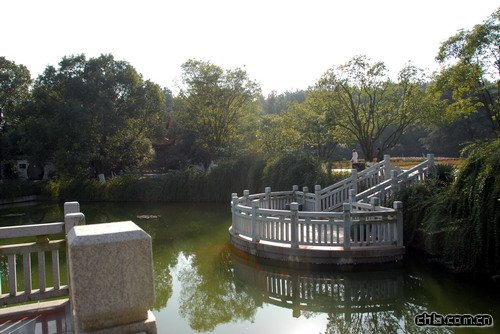 ������ʾ�(�M�D)