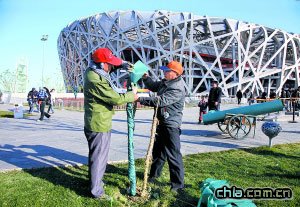 ���B����ֲ�ﴩ�����b���G�����T�ƶ���������