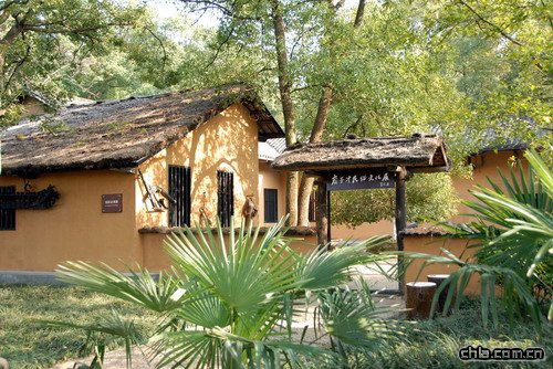 ������ʾ�(�M�D)