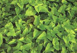 ���~����