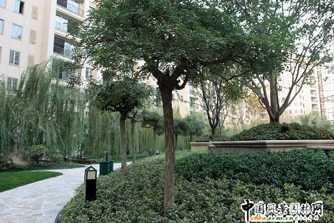 �����ǺӞ��h���G��