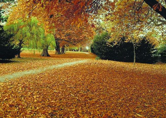 ���~�w��