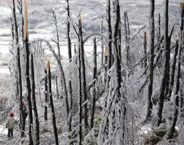 ����Ϸ����Ķ���ʡ�оG���ܓp����