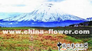 ��϶ࠖ�������ܳ��ژI���ĝM�M