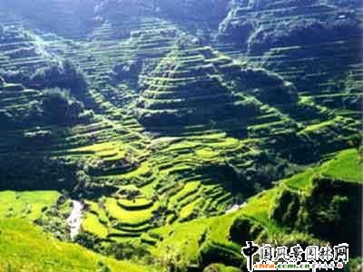 ����ʮ���������E���^(�M�D)