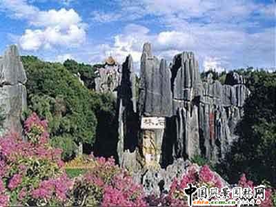 ����ʮ���������E���^(�M�D)