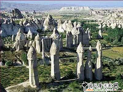 ����ʮ���������E���^(�M�D)