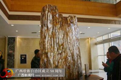 ���������������x�ġ��仯�񡱡�