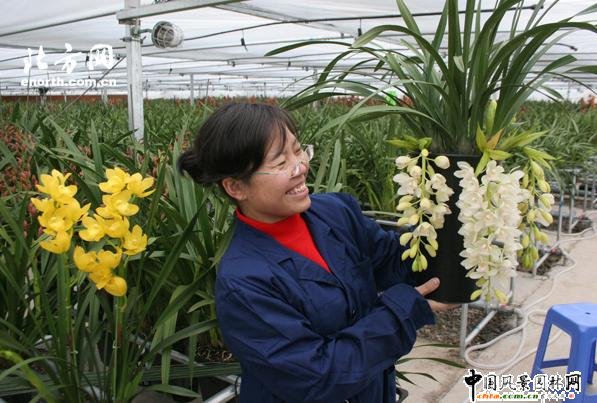 ��򣺻�������Ʒ ��ޥ�m���M(j��n)�����