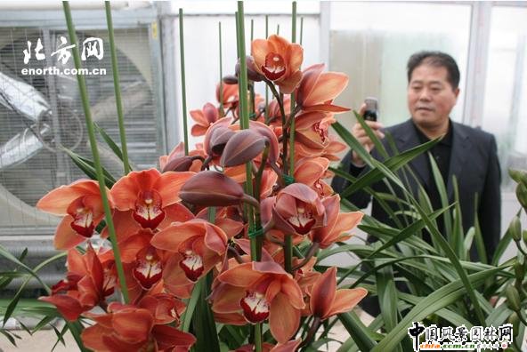 ��򣺻�������Ʒ ��ޥ�m���M(j��n)�����