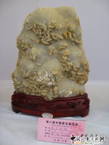 �ڰˌ��Ї��pʯչ