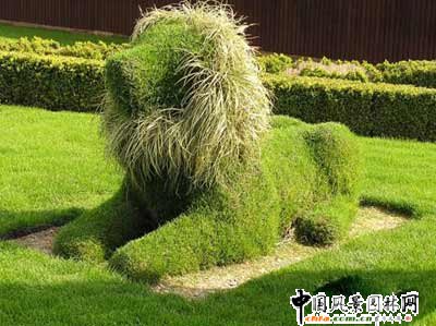 ����ć���@��ˇ�g(�M�D)