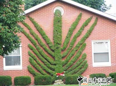 ����ć���@��ˇ�g(�M�D)