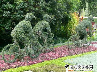 ����ć���@��ˇ�g(sh��)(�M�D)