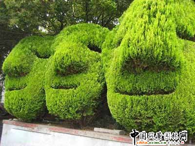 ����ć���@��ˇ�g(�M�D)