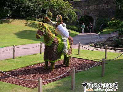 ����ć���@��ˇ�g(�M�D)