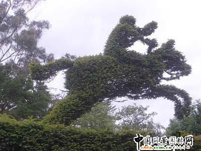 ����ć�(gu��)��@��ˇ�g(sh��)(�M�D)