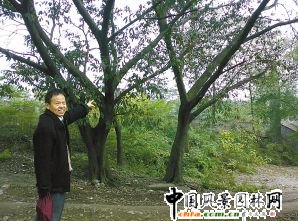 �ؑc�����Յ^(q��)�U���@�F(xi��n)30�ꡰ���ޡ��S���(sh��)(�D)