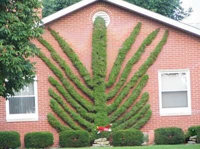 ���⯂��Ĉ@��ˇ�g