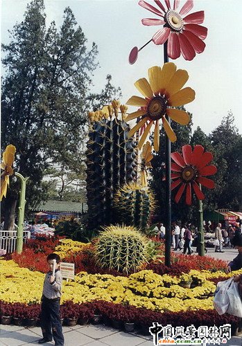 ����(�M�D)