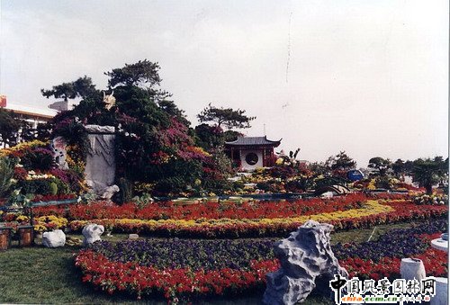 ����(�M�D)