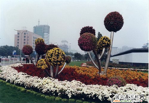 ����(�M�D)