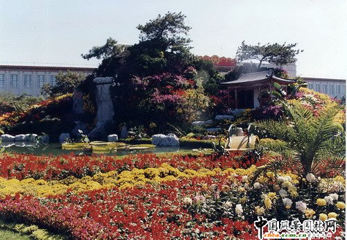 ����(�M�D)