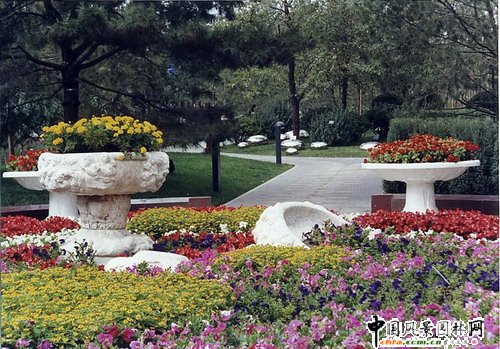 ����(�M�D)