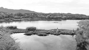 �c�����´��ڞg�[�DƬ