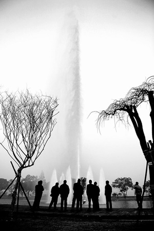 �c�����´��ڞg�[�DƬ