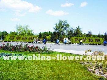 懶����7�����G36�f��