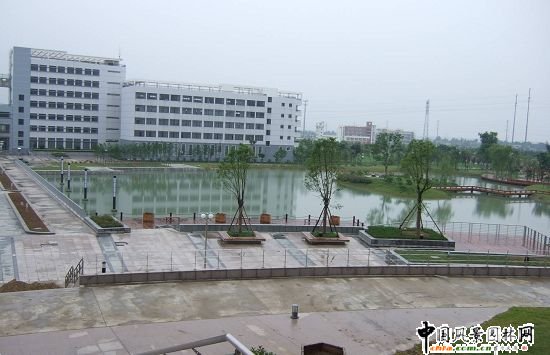 ����ؔ���Q��W��У�^���^����