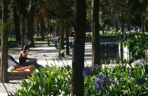 Chapultepec���@��Ȫ�V��