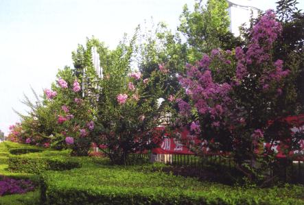 �m�r�޼�����ľ