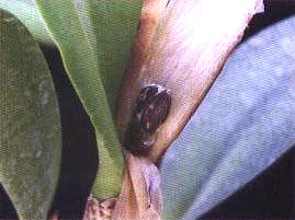 �D2  ���ݲ�