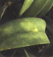 �D12  �隤�xΣ���~����