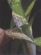 �D14  �隤�xΣ�����[�o